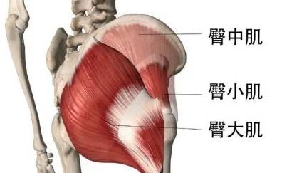 锻炼臀型的瑜伽动作稳定髋部紧实肌肉让你的臀部不再扁平必威电竞！(图3)